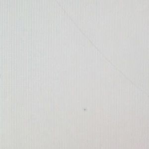 Meet your Posher, Savannah